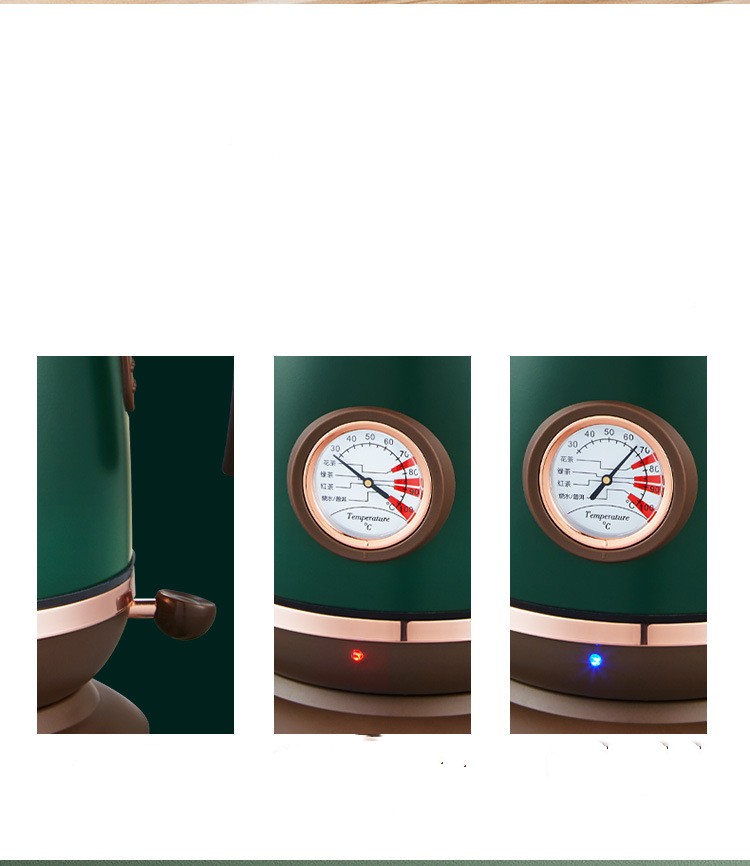 Electric Temperature Control Heating Kettle